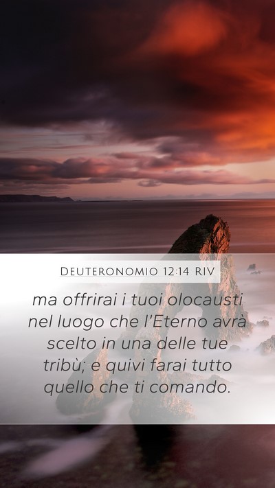 Deuteronomio 12:14 RIV Bible Verse Image