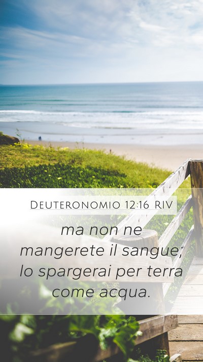 Deuteronomio 12:16 RIV Bible Verse Image
