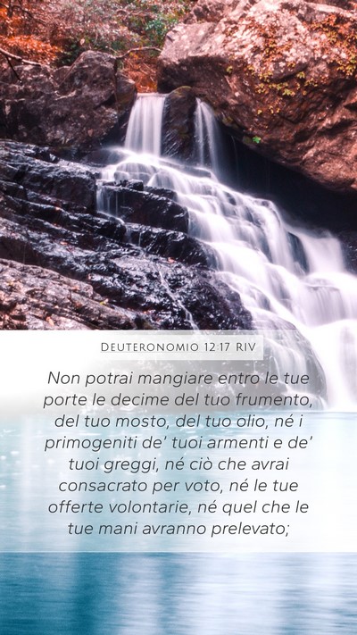 Deuteronomio 12:17 RIV Bible Verse Image