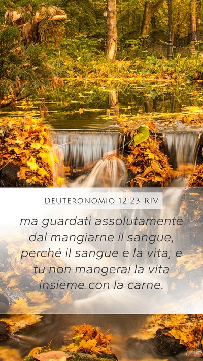 Deuteronomio 12:23 RIV Mobile Phone Wallpaper - ma guardati assolutamente dal mangiarne il - Mobile Bible Verse Wallpaper
