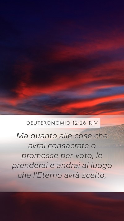 Deuteronomio 12:26 RIV Bible Verse Image