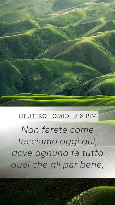 Deuteronomio 12:8 RIV Bible Verse Image
