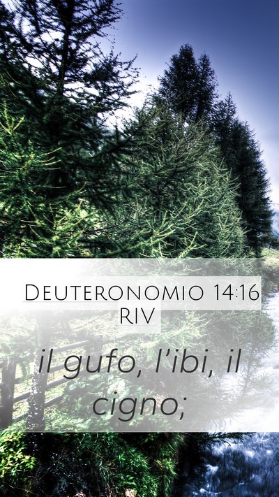 Deuteronomio 14:16 RIV Mobile Phone Wallpaper - il gufo, l’ibi, il - Mobile Bible Verse Wallpaper