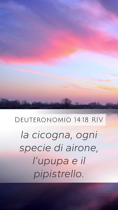 Deuteronomio 14:18 RIV Mobile Phone Wallpaper - la cicogna, ogni specie di airone, l’upupa e il - Mobile Bible Verse Wallpaper