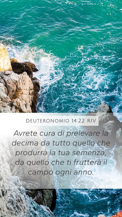 Deuteronomio 14:22 RIV Bible Verse Image