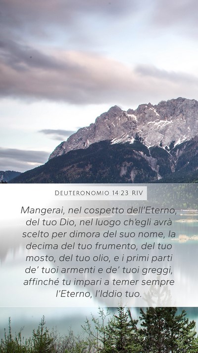 Deuteronomio 14:23 RIV Bible Verse Image