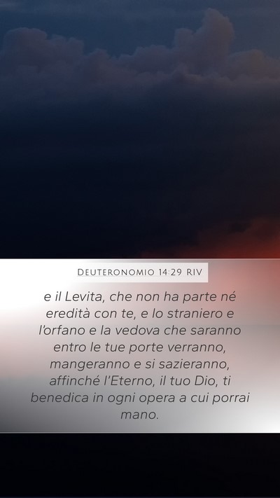 Deuteronomio 14:29 RIV Bible Verse Image