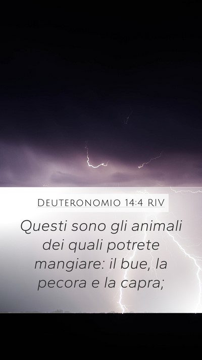 Deuteronomio 14:4 RIV Mobile Phone Wallpaper - Questi sono gli animali dei quali potrete - Mobile Bible Verse Wallpaper