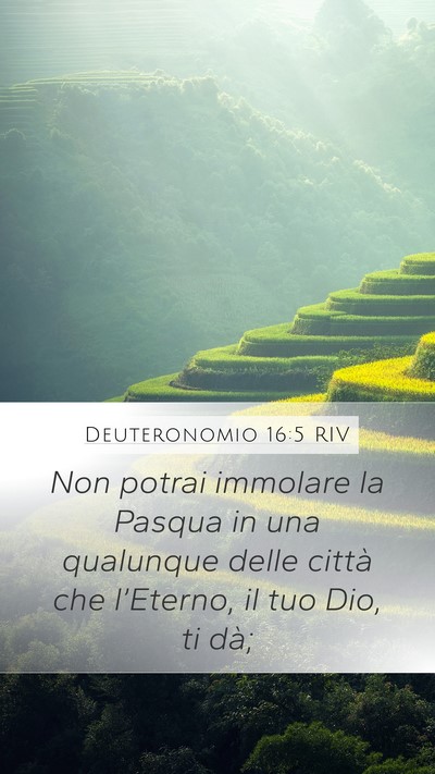 Deuteronomio 16:5 RIV Mobile Phone Wallpaper - Non potrai immolare la Pasqua in una qualunque - Mobile Bible Verse Wallpaper
