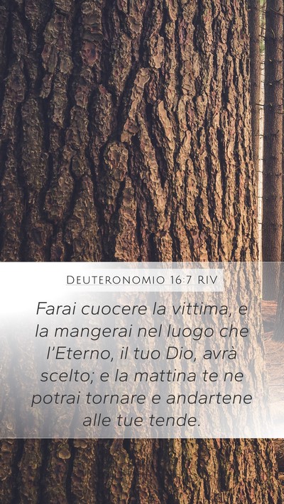 Deuteronomio 16:7 RIV Mobile Phone Wallpaper - Farai cuocere la vittima, e la mangerai nel luogo - Mobile Bible Verse Wallpaper