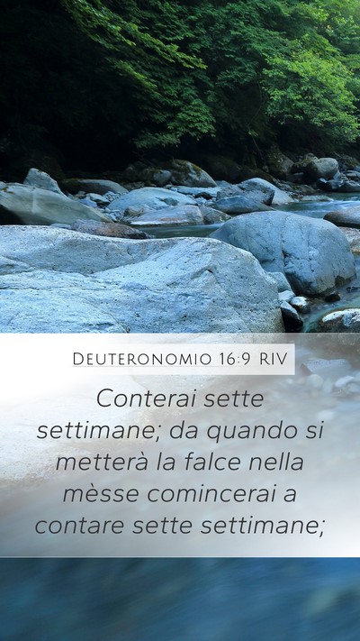 Deuteronomio 16:9 RIV Bible Verse Image