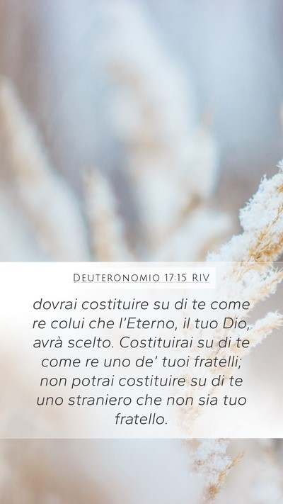 Deuteronomio 17:15 RIV Bible Verse Image