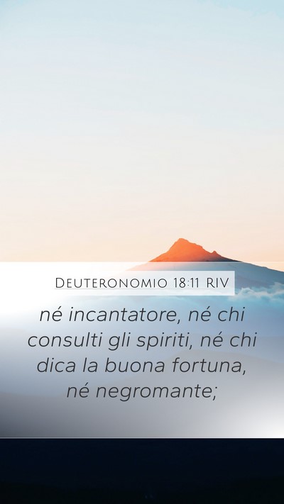 Deuteronomio 18:11 RIV Bible Verse Image