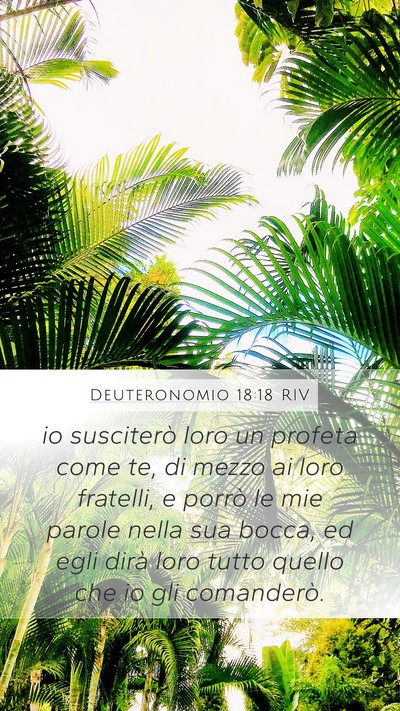 Deuteronomio 18:18 RIV Bible Verse Image