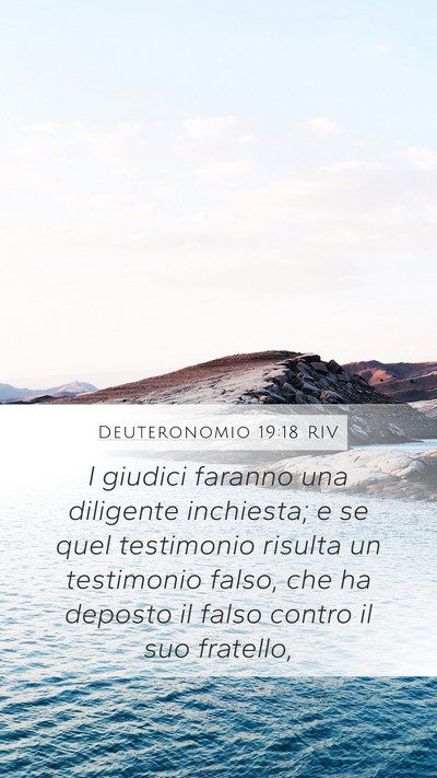 Deuteronomio 19:18 RIV Bible Verse Image