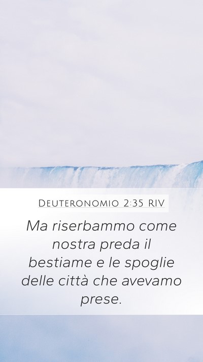 Deuteronomio 2:35 RIV Bible Verse Image