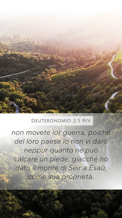 Deuteronomio 2:5 RIV Bible Verse Image