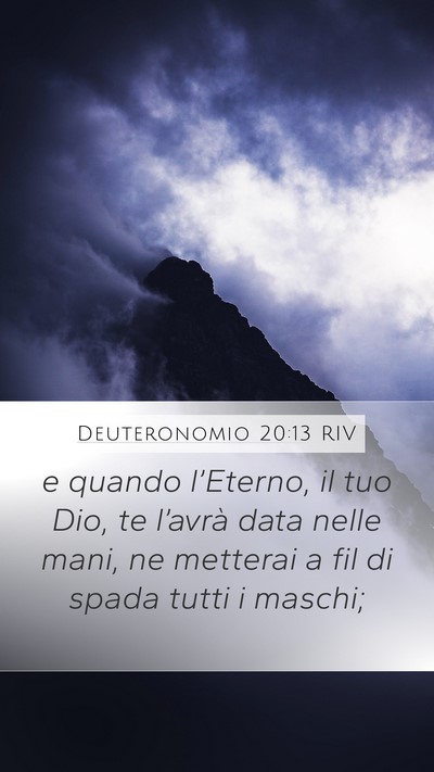 Deuteronomio 20:13 RIV Bible Verse Image