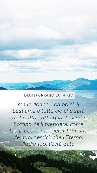 Deuteronomio 20:14 RIV Bible Verse Image