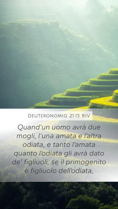 Deuteronomio 21:15 RIV Mobile Phone Wallpaper - Quand’un uomo avrà due mogli, l’una amata e - Mobile Bible Verse Wallpaper