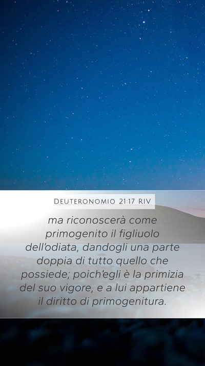 Deuteronomio 21:17 RIV Bible Verse Image