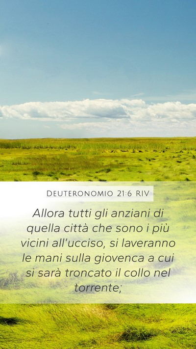Deuteronomio 21:6 RIV Bible Verse Image