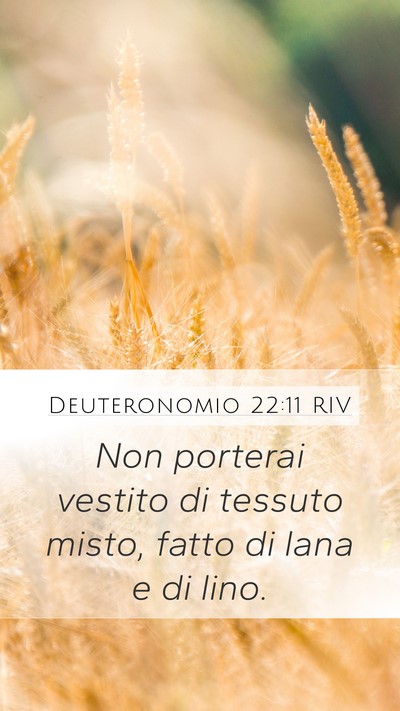 Deuteronomio 22:11 RIV Bible Verse Image