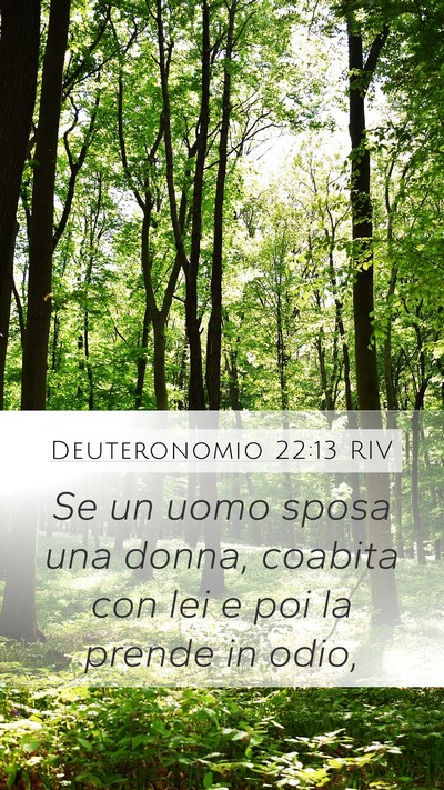 Deuteronomio 22:13 RIV Bible Verse Image