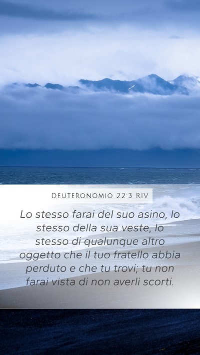 Deuteronomio 22:3 RIV Bible Verse Image