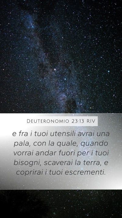 Deuteronomio 23:13 RIV Mobile Phone Wallpaper - e fra i tuoi utensili avrai una pala, con la - Mobile Bible Verse Wallpaper