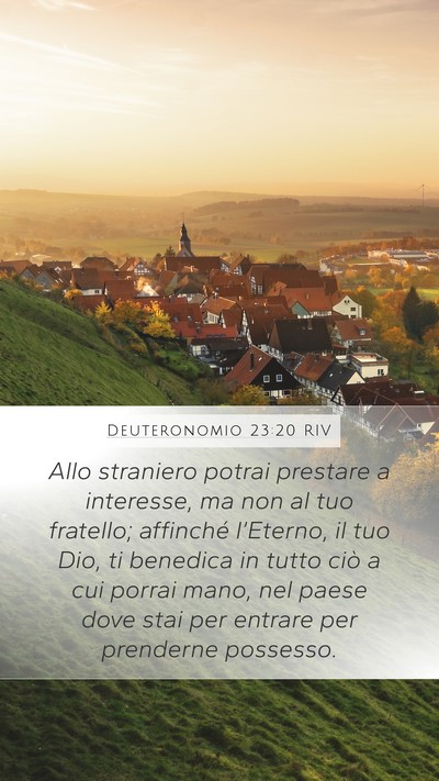 Deuteronomio 23:20 RIV Bible Verse Image
