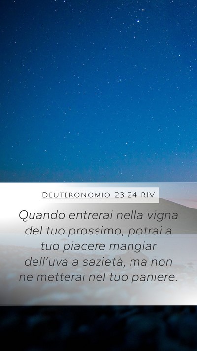 Deuteronomio 23:24 RIV Bible Verse Image