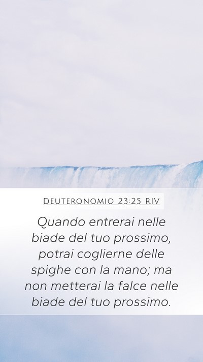 Deuteronomio 23:25 RIV Bible Verse Image