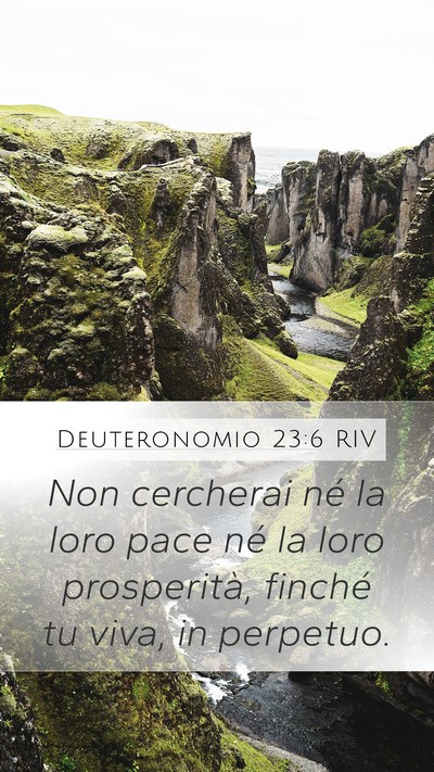 Deuteronomio 23:6 RIV Bible Verse Image