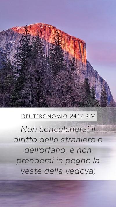 Deuteronomio 24:17 RIV Bible Verse Image