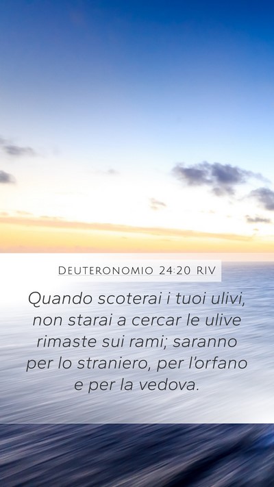 Deuteronomio 24:20 RIV Mobile Phone Wallpaper - Quando scoterai i tuoi ulivi, non starai a cercar - Mobile Bible Verse Wallpaper