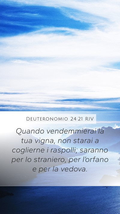 Deuteronomio 24:21 RIV Bible Verse Image