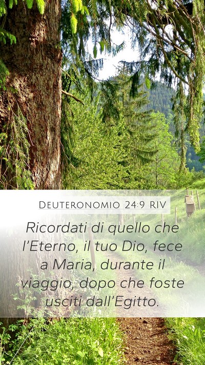 Deuteronomio 24:9 RIV Bible Verse Image