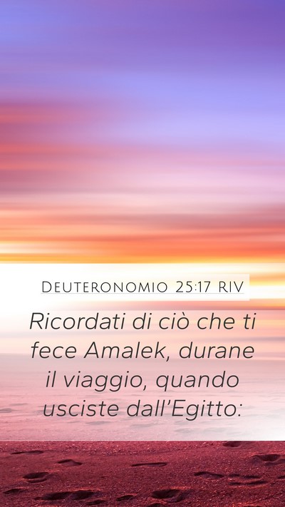 Deuteronomio 25:17 RIV Bible Verse Image
