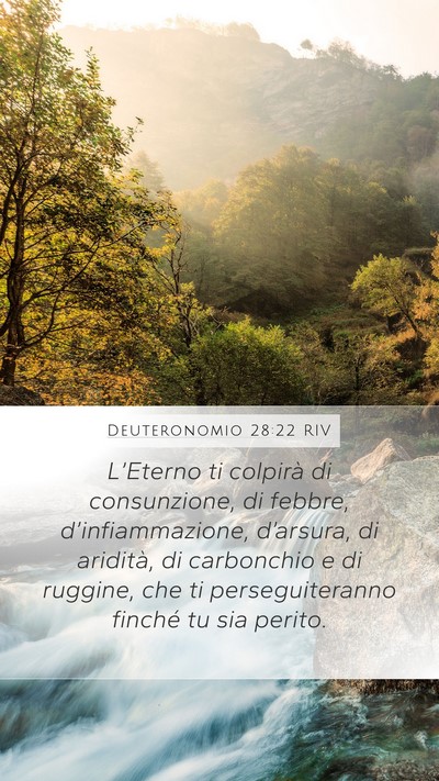 Deuteronomio 28:22 RIV Bible Verse Image