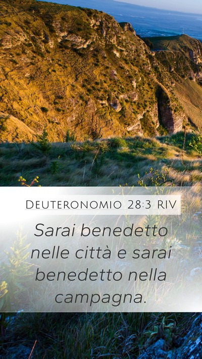 Deuteronomio 28:3 RIV Bible Verse Image