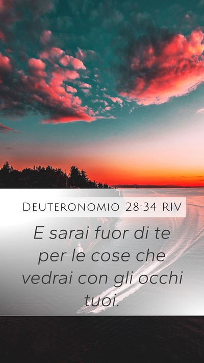 Deuteronomio 28:34 RIV Bible Verse Image