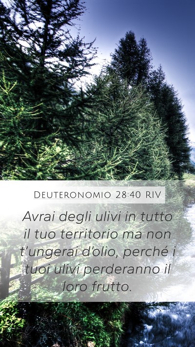 Deuteronomio 28:40 RIV Bible Verse Image