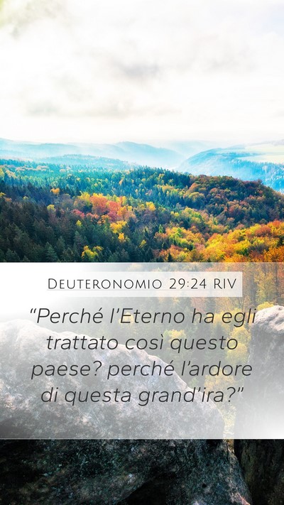 Deuteronomio 29:24 RIV Bible Verse Image