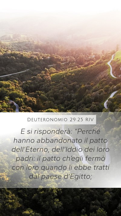 Deuteronomio 29:25 RIV Bible Verse Image