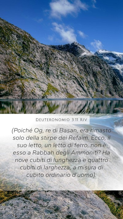 Deuteronomio 3:11 RIV Bible Verse Image