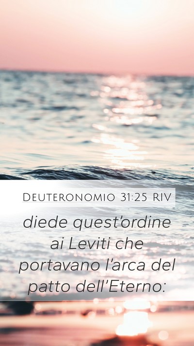Deuteronomio 31:25 RIV Bible Verse Image