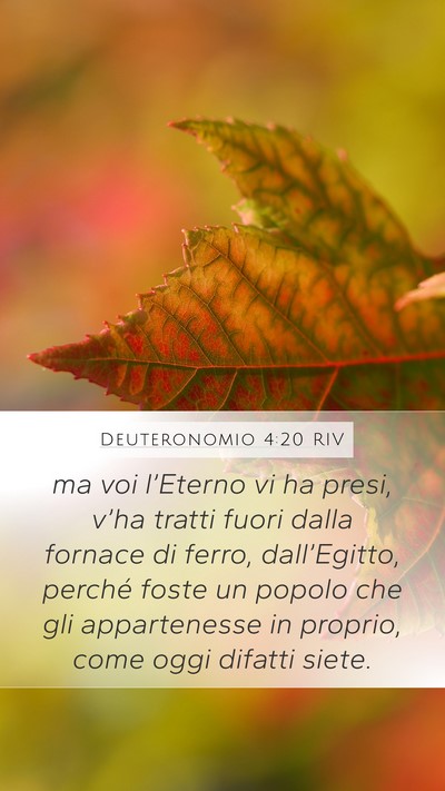 Deuteronomio 4:20 RIV Bible Verse Image