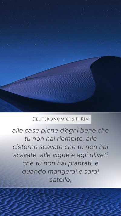 Deuteronomio 6:11 RIV Bible Verse Image