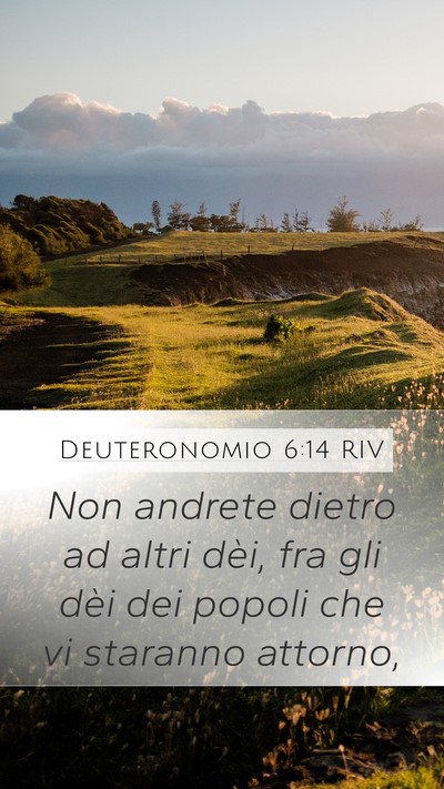 Deuteronomio 6:14 RIV Bible Verse Image
